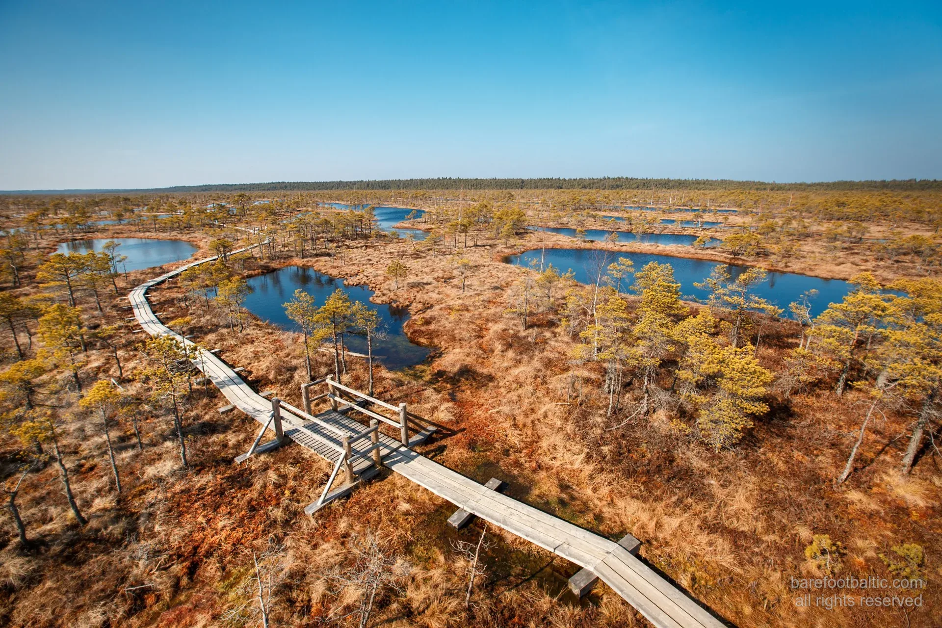 Aerial view of the Great Ķemeri Bog in spring, Latvia