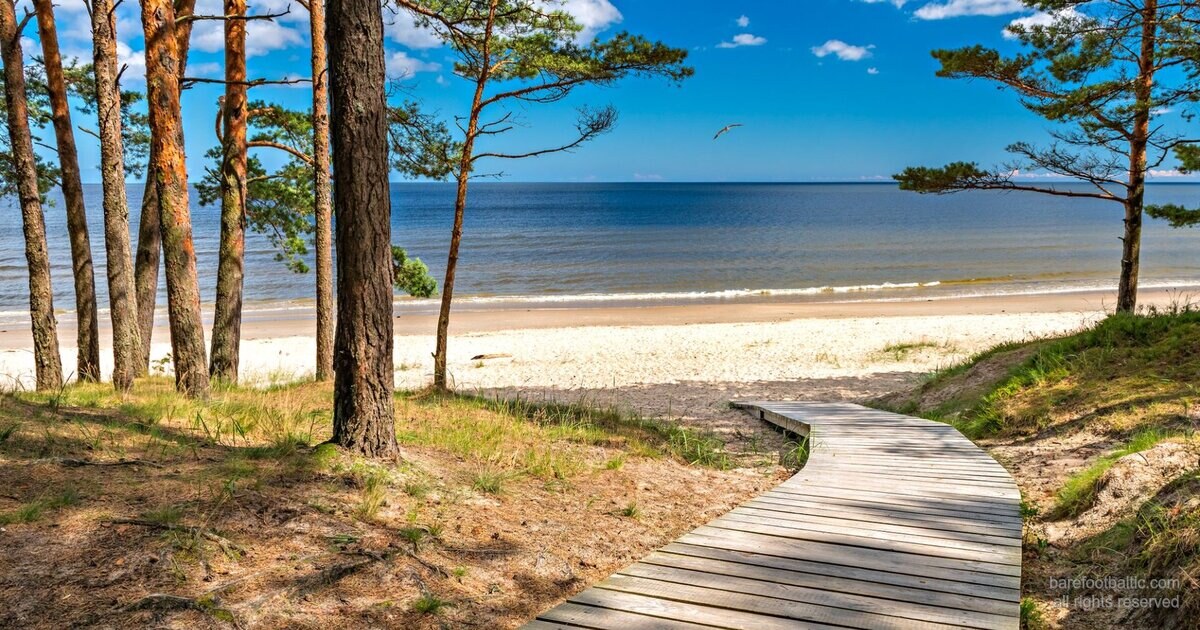 Jūrmala — pušynas, susiliečiantis su baltu kvarciniu Baltijos jūros smėliu, 25 km nuo Rīgos.